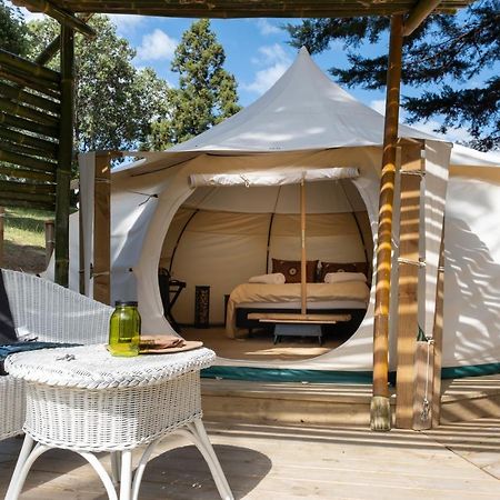 Kerikeri Glamping Hotel Ngoại thất bức ảnh