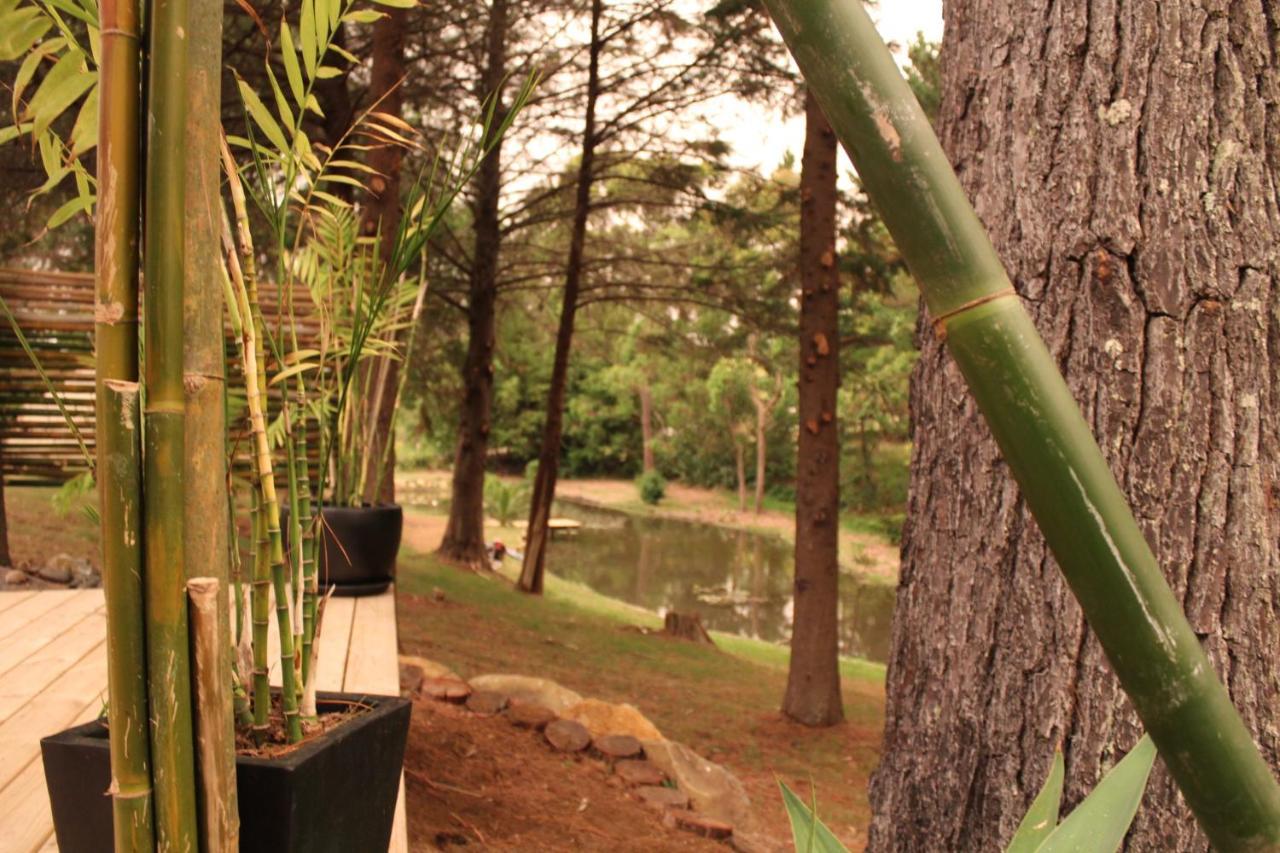 Kerikeri Glamping Hotel Ngoại thất bức ảnh