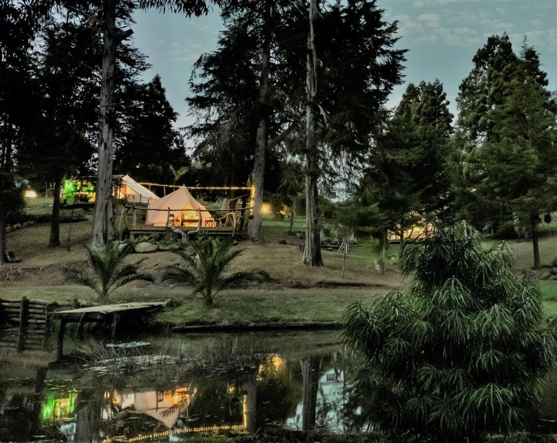 Kerikeri Glamping Hotel Ngoại thất bức ảnh