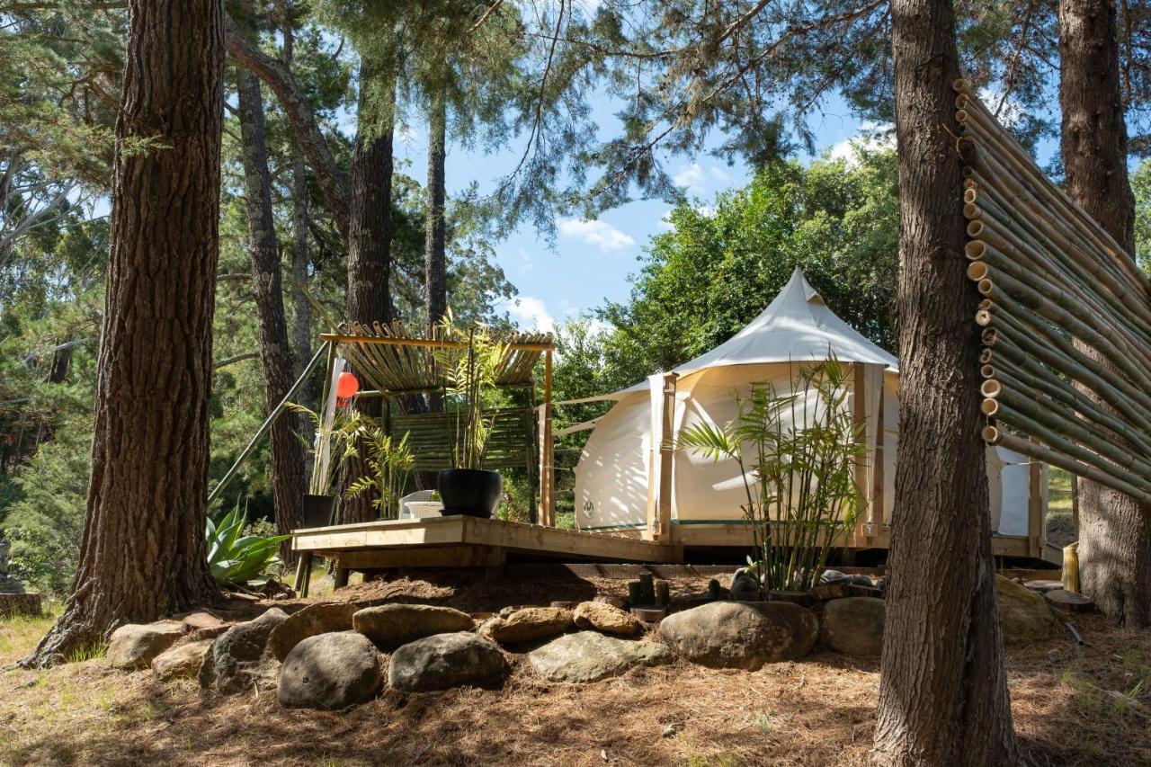 Kerikeri Glamping Hotel Ngoại thất bức ảnh