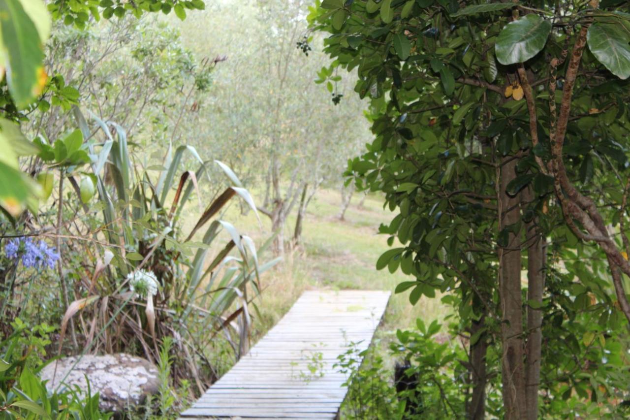 Kerikeri Glamping Hotel Ngoại thất bức ảnh