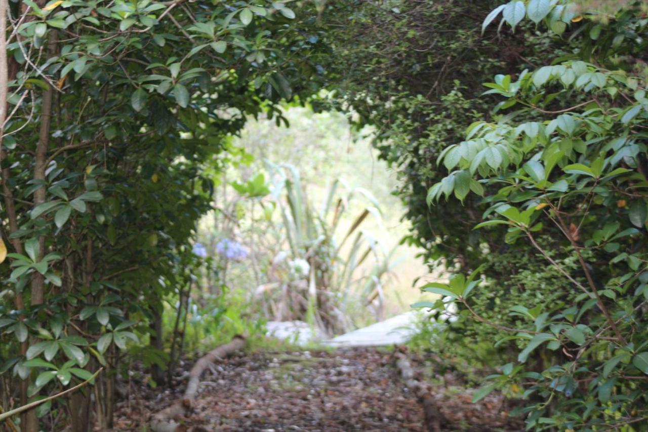 Kerikeri Glamping Hotel Ngoại thất bức ảnh