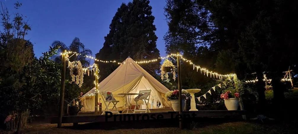 Kerikeri Glamping Hotel Ngoại thất bức ảnh