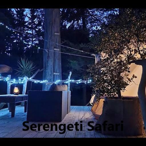 Kerikeri Glamping Hotel Ngoại thất bức ảnh